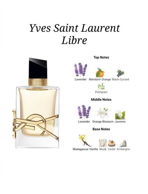 ysl cologne scent notes|yves saint laurent cologne sample.